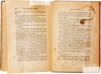 Vintage Feminine Romantic Book Cutout